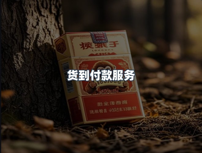 服务优势